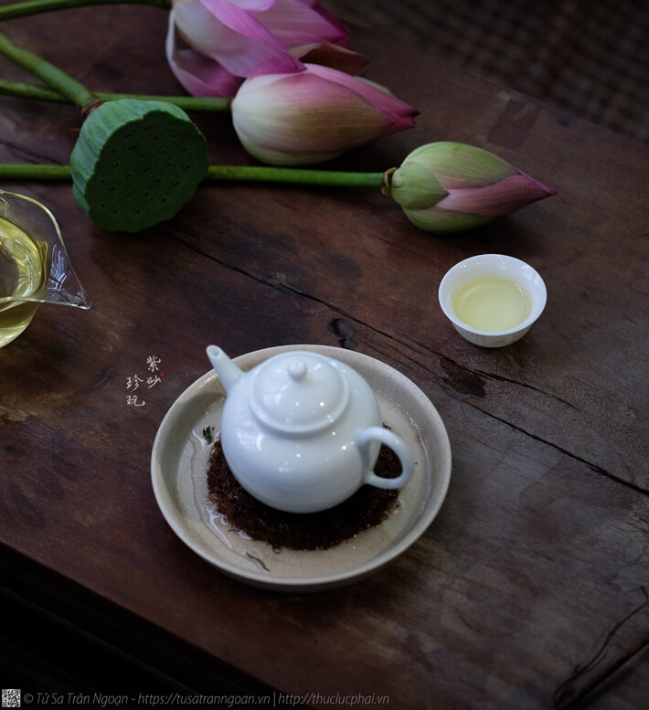 Điều gì tạo nên hương vị quyến rũ của trà sen?