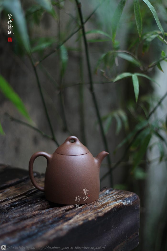 TẦN QUYỀN - Ảnh 3