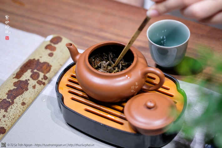5 yếu tố quan trọng và 3 hiểu lầm khi pha trà Phổ Nhĩ