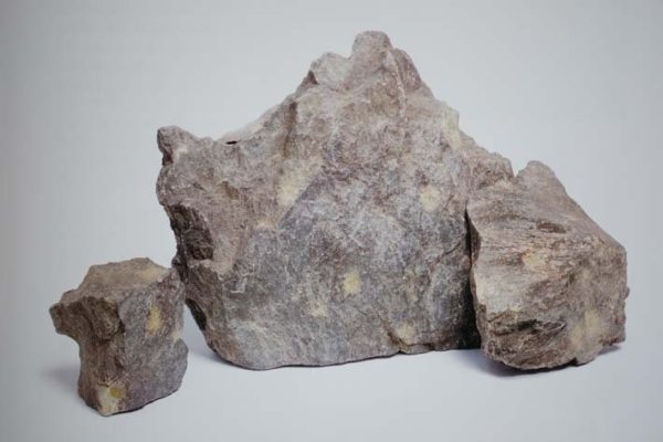 Tìm hiểu các dòng đất thuộc nhóm Đoàn Nê (Phần 2)