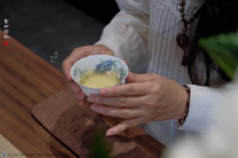 Mỗi ngày nên uống Bạch Trà bao nhiêu để phát huy tối đa công hiệu dưỡng sinh?