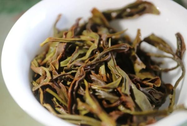 Đơn Tùng Phượng Hoàng: Trà từ cây cổ thụ ngon hơn hay cây non ngon hơn?