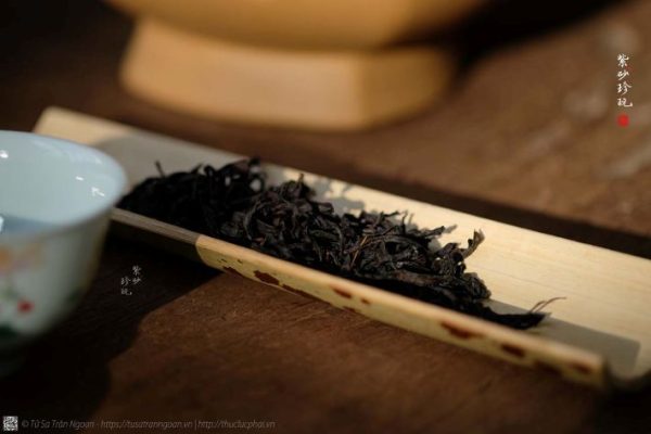 Áp Thỉ Hương và Mật Lan Hương: Cặp song bích rực rỡ trong thế giới trà Phượng Hoàng Đơn Tùng