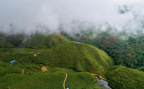 Không hiểu núi Bố Lãng, thì không thể hiểu được trà Phổ Nhĩ