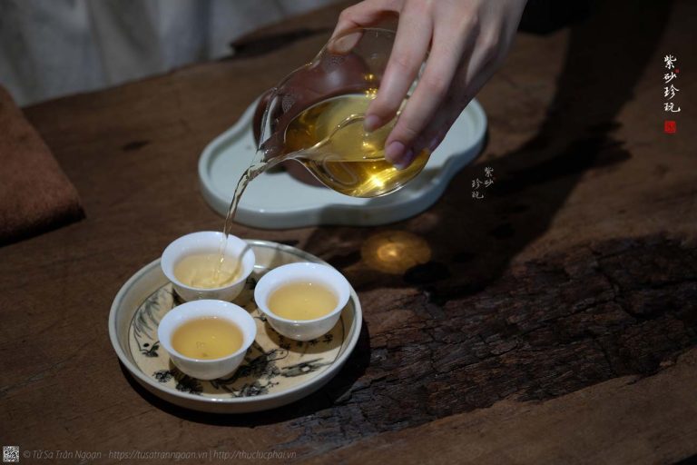 Làm thế nào để hiểu đúng về “mùi xanh sống” trong trà Phổ Nhĩ sống?