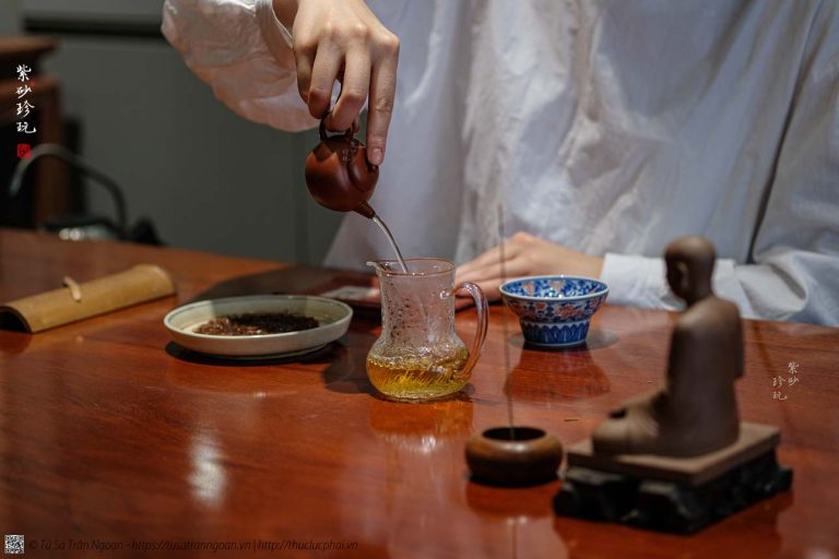 Đại Hồng Bào là gì? 10 câu hỏi phổ biến nhất về trà Đại Hồng Bào