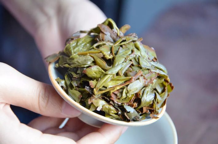 Trà Thủy Tiên Phúc Kiến