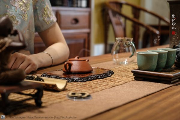 Cách chọn ấm tử sa cho người mới: 5 tiêu chí quan trọng cần biết