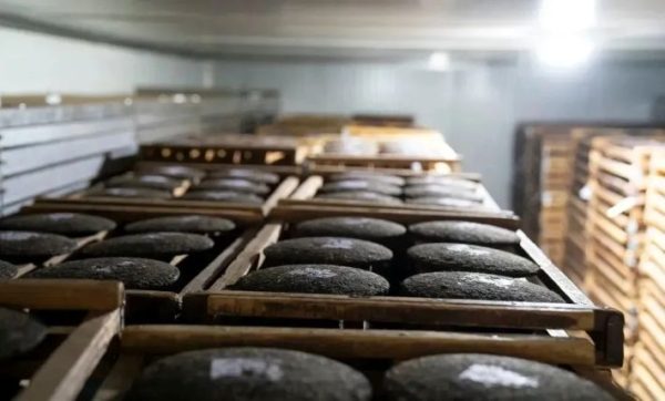 Cách bảo quản trà Phổ Nhĩ tại khí hậu nóng ẩm của Việt Nam