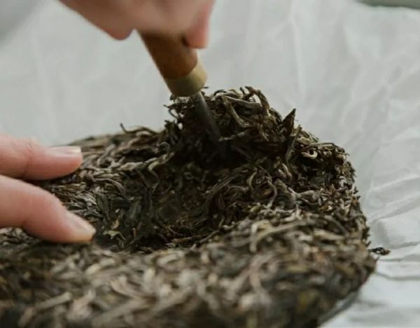 Hướng dẫn sử dụng dao tách trà Phổ Nhĩ để không làm nát lá trà